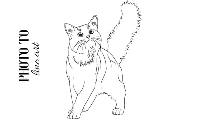draw line art, line art portrait, line art illustration in 24 hours