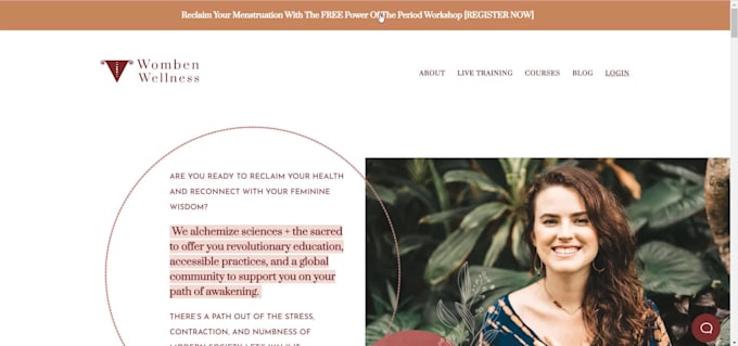 design, redesign or revamp wordpress website