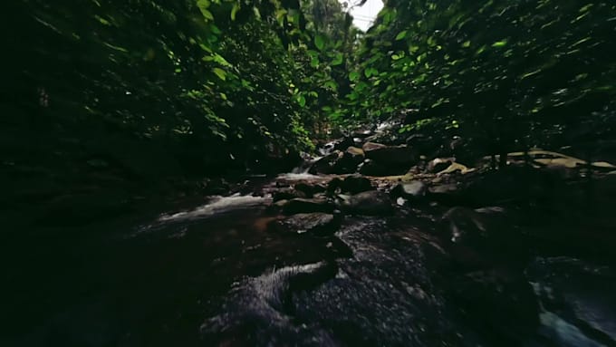 edit your travel and memories