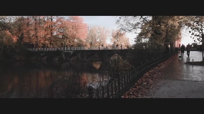 do professional video editing and creation