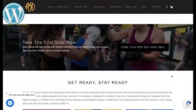 design for you a modern, responsive blog on wordpress