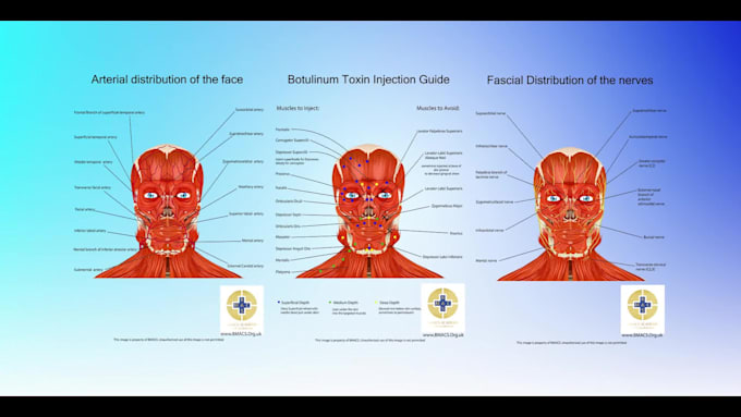 draw detailed medical and scientific illustrations