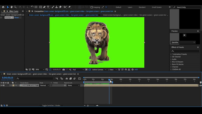 do rotoscoping , green screen remove, wire removal