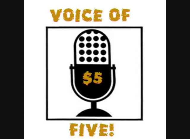 provide a professional voice over