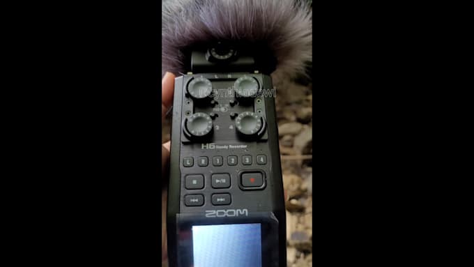 record original nature sounds and ambient field recordings