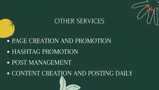 manage digital marketing and administrate all plans