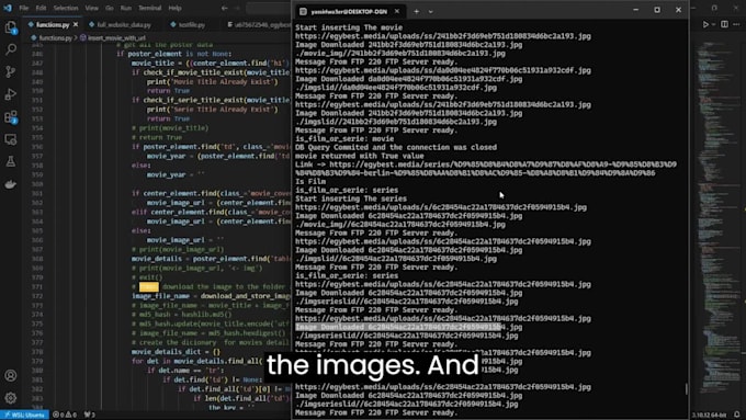 do web scraping, data mining, API calling and more in python
