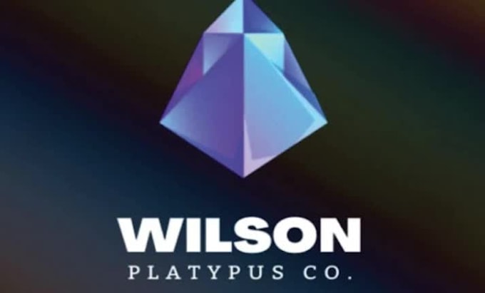 design a professional minimalist logo for your business