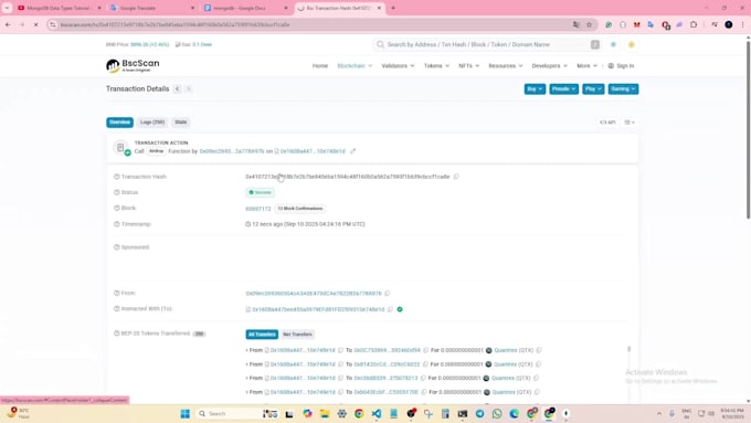 create your crypto token  holder increase