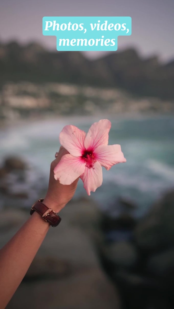 edit your vacation videos and summer memories into a engaging reel