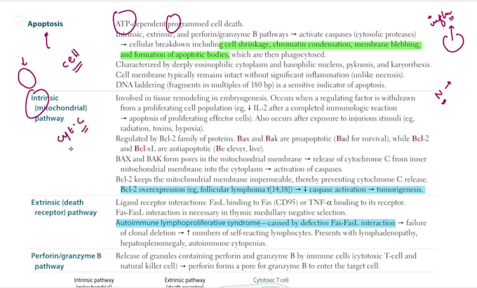 tutor pathology, biochemistry, microbiology for usmle step1