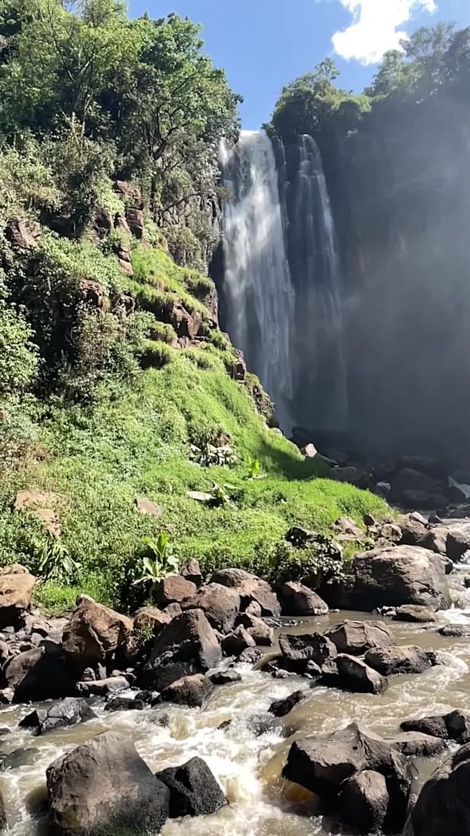 do amazing photography of african nature and landscape