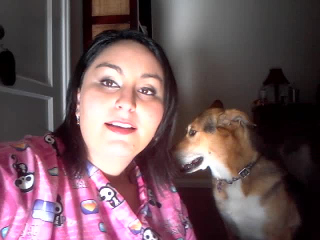 answer ALL your dog questions including training care nutrition etc
