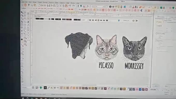 digitize your designs in one an hour