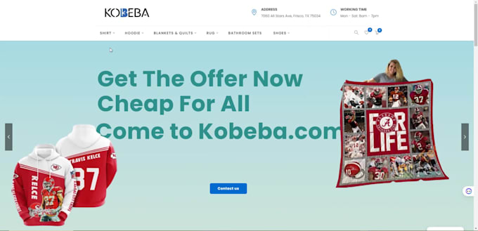 build and optimize ecommerce store wordpress website
