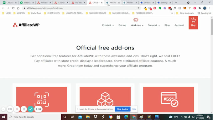 supply and configure affiliate wp on your website