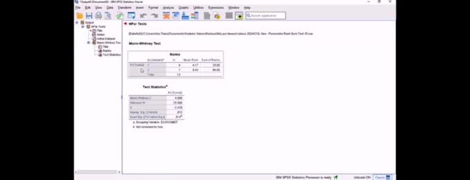 do expert survey data analysis and statistical analysis report using IBM spss