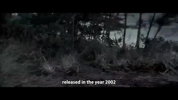 add professional subtitles and caption synced with your video