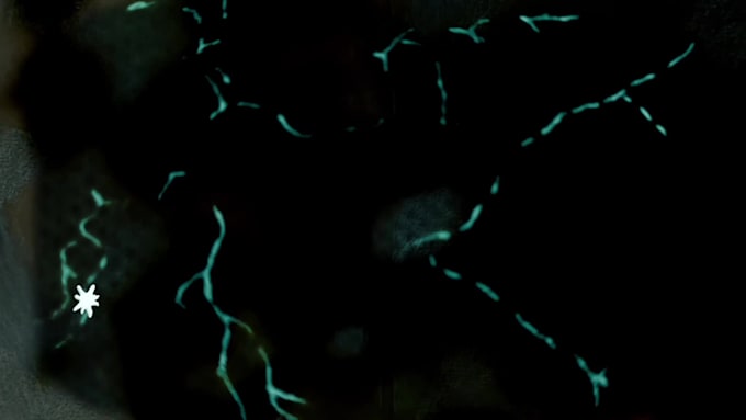 create an experimental animation for music videos, intros or live visuals