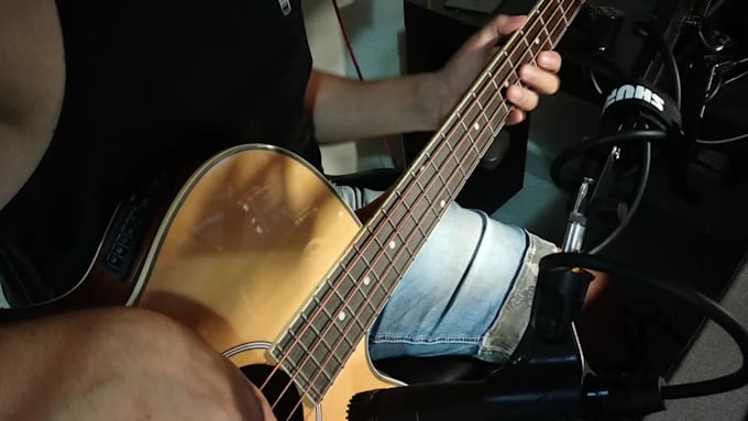 be your acoustic bassist