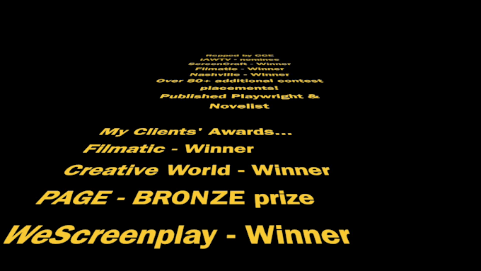provide detailed notes on your screenplay