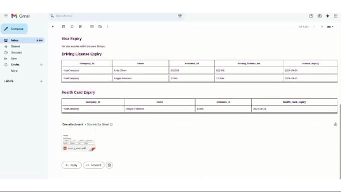 provide professional odoo services