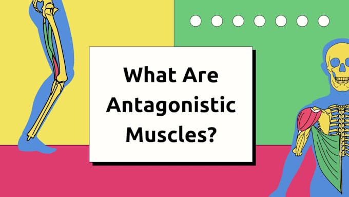 create engaging teaching materials and slides for educators
