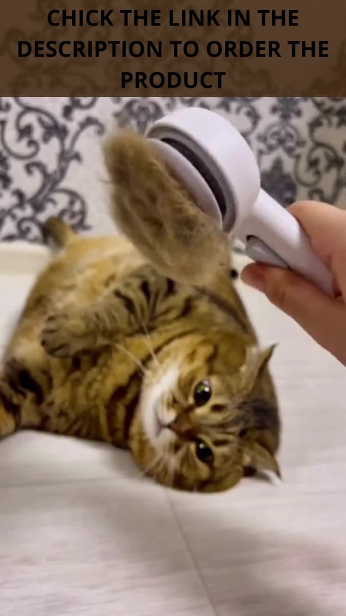 Add Subtitles To Your Instagram Videos Fast By Marwamajaida Fiverr add-subtitles-to-your-instagram-videos-fast-by-marwamajaida-fiverr