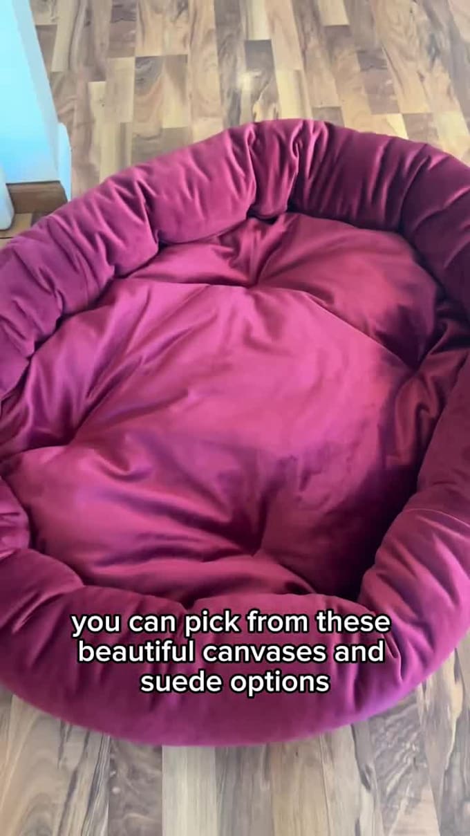 authentic ugc videos featuring my pets for your brand
