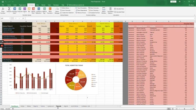 Create interactive automated dashboards and perfect data entry by ...