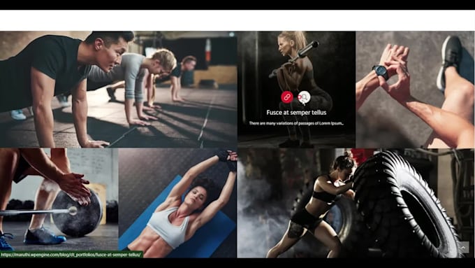 design and develop the perfect wordpress website at an affordable price