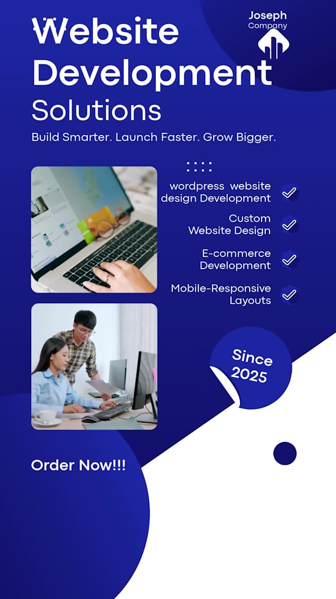 create a professional wordpress website with full SEO