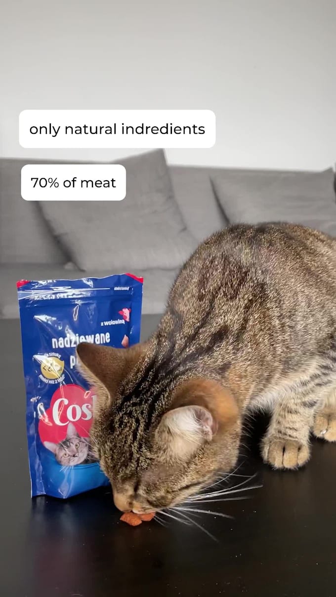 create a ugc video with cat