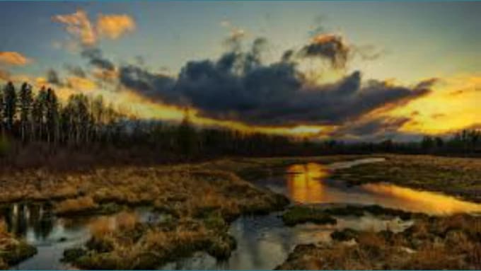 Top 5! I will do an amazing book trailer video  for $5