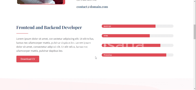 create professional portfolio website and wordpress portfolio website