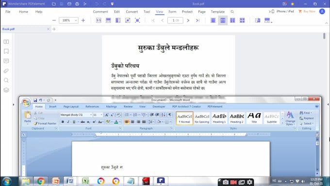 convert PDF, jpeg into word files