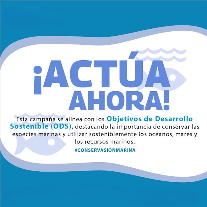 diseño de infografías, publicidad y post de todo tipo