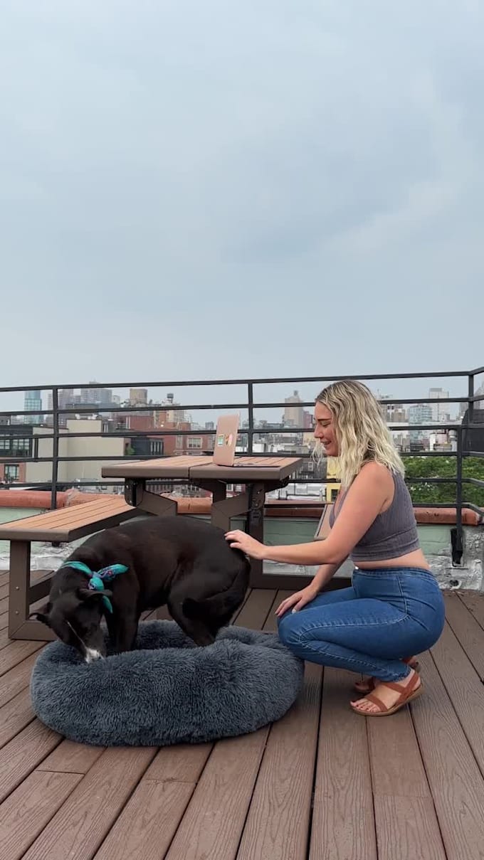 create and post dog influencer and affiliate content for your pet brand