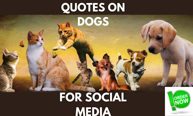 design unique pet and dog quotes with your logo