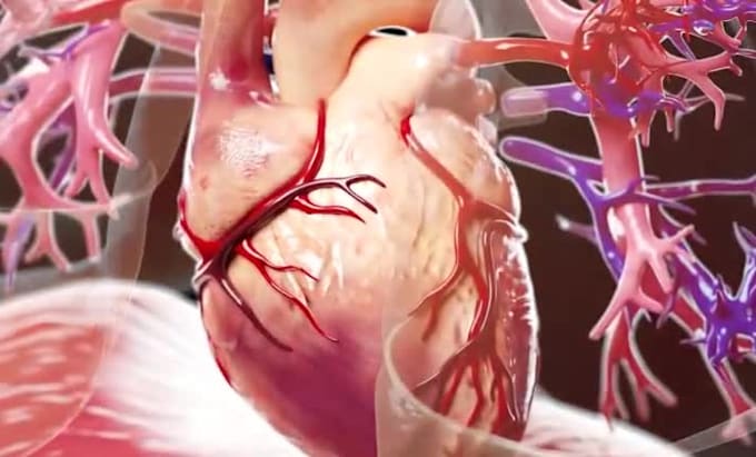 create stunning 3d animations for youtube, medical, game or promo