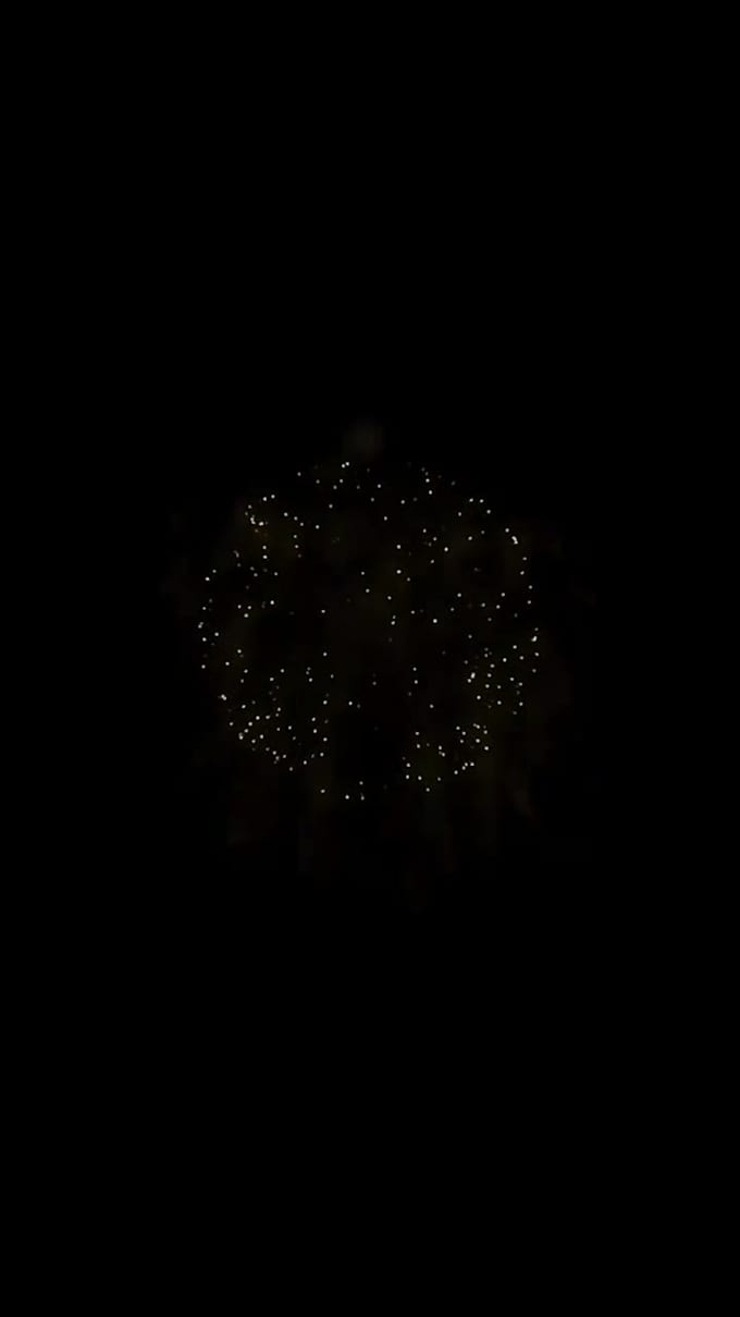 awesome video for new year