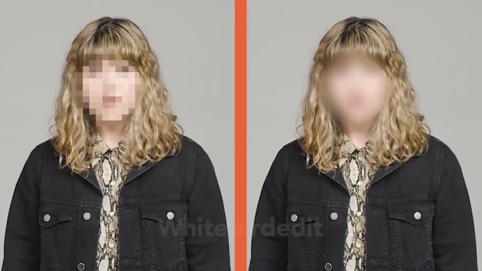 blur out videos, faces, objects, text or anything else