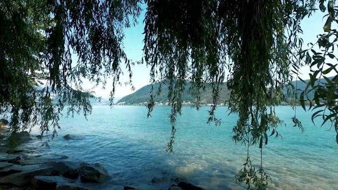 professionally make relaxing nature sounds
