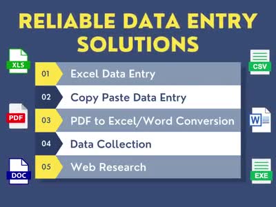do fast data entry, copy paste and PDF to excel work