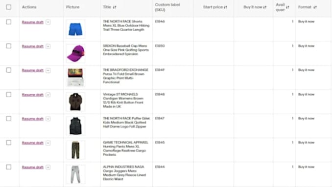 be your ebay virtual assistant