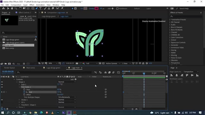 professional custom logo animation intro