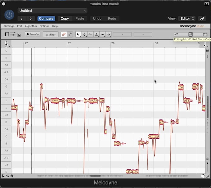 professionally tune and pitch correct your vocals