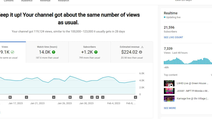 Create and setup a professional youtube channel for you by ...