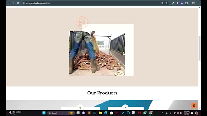 design a website either wix, wordpress or with any website hosting