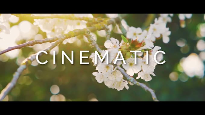 provide high retention technical video direction and cinematic editing